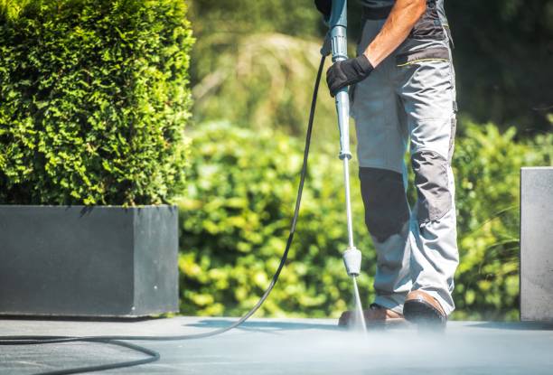 Best Roof Washing  in Silver Hill, MD