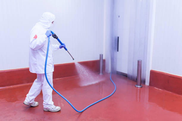 Reliable Silver Hill, MD Pressure Washing Services Solutions