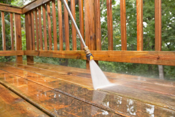 Best Sidewalk and Walkway Cleaning  in Silver Hill, MD
